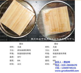 人造皮革防霉防菌 中国领先厂家佳尼斯与铭铠的专业解决方案